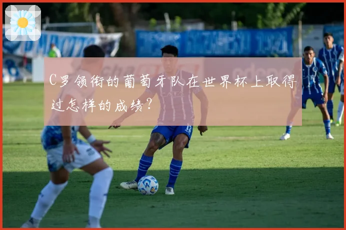 C罗领衔的葡萄牙队在世界杯上取得过怎样的成绩？