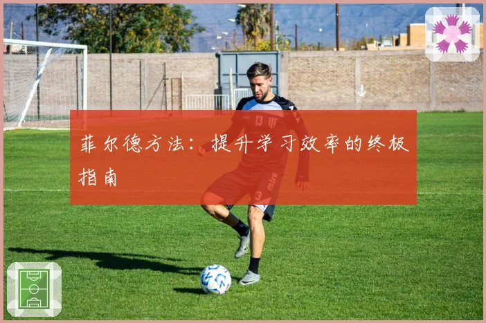 菲尔德方法：提升学习效率的终极指南