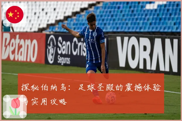探秘伯纳乌:足球圣殿的震撼体验与实用攻略