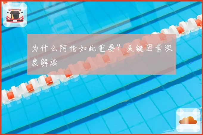 为什么阿伦如此重要？关键因素深度解读
